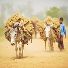 Panhwar is posted as the station house officer (sho) at dadu's qasbo police station. Kolachi Nos The News International