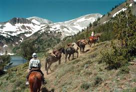 Rock springs run trail rides. How To See Oregon By Horseback 6 Areas To Explore In The Saddle Oregonlive Com