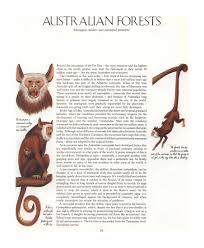 Dougal Dixon After Man A Zoology Of The Future Pdf Zoology Alien Concept Art Mammals