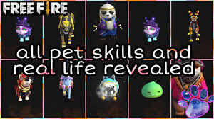In addition, its popularity is due to the fact that it is a game that can be played by anyone, since it is a mobile game. Free Fire Pets In Real Life And Skills Revealed Full Explanation In Tamil Youtube