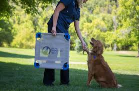 Maybe you would like to learn more about one of these? Positive Dog Training Method Dog Training Elite