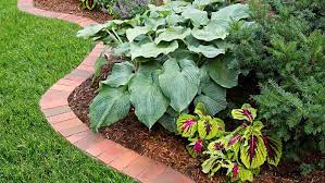 Buy the vigoro edging from amazo. Brick Garden Edging Beautify Your Outdoor Space In 12 Steps This Old House