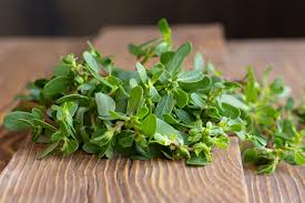 We did not find results for: How To Plant And Grow Purslane Gardener S Path