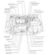 Maybe you would like to learn more about one of these? Solved Where Is The Crank Sensor Located On 2001 Nissan Fixya