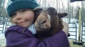 Raspberry Ridge Farmstead