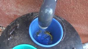 grease trap for kitchen waste water