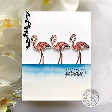 June Bird Of The Month Hero Arts June My Monthly Hero Kit Janette Kausen Hero Arts Cards Hero Arts Card Art