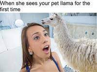 It S So Fucking Big Image Gallery Sorted By Views Know Your Meme
