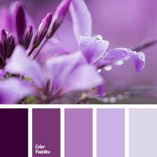 Check spelling or type a new query. Dark Purple And Lilac Color Palette Ideas