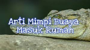 Check spelling or type a new query. Arti Mimpi Buaya Masuk Rumah Menurut Islam Primbon Dan Psikolog Youtube