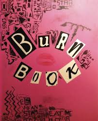 I talked about how i come from a mostly white. Burn Book Hunt James Amazon De Bucher