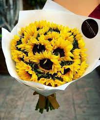 Girassois Sunflowers And Roses Sunflower Bouquets Sunflower Flower