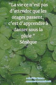 C`est une zone de la montagne ou la vie sauvage est protegee. 85 Citations Inspirantes Qui Vont Changer Votre Vie