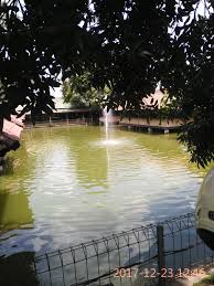 Rumah Makan Teh Haji Citalang Tempat Kuliner Dan Tempat Mancing Di Purwakarta Aliems Journey