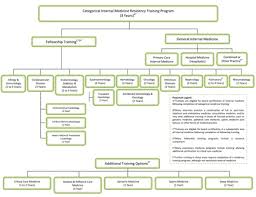 Structure Of Internal Medicine Residency Training Acp