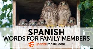 Sustantivo de género exclusivamente masculino, que lleva los artículos el o un en singular, y los o unos en plural. Learn How To Talk About Your Family In Spanish