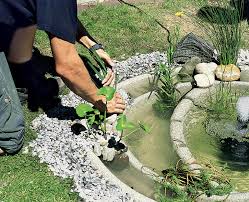 Teichwannen gibt's bei hornbach zum dauertiefpreis! Fertigteich Einbauen Mein Schoner Garten