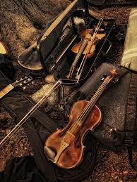 Violin Violin Music Violin Art