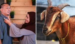 Muslims around the world observe this event. Eid Al Adha 2020 How Long Does Eid Last Express Co Uk
