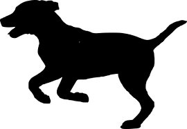 silhouette dog doggy animal if you enjoy my content please consider buying me a coffee thank you you can buy hunde silhouette hundefotos babyhunde