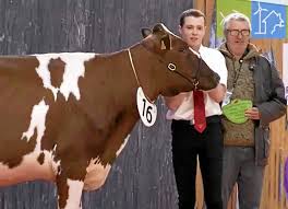 Le parc des expositions de paris accueille le salon international de l'agriculture. Kesr Tarif Du Salon De Lagriculture 2019