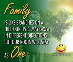 A genuine birthday wish can truly make anyone's day, but finding the perfect happy birthday quotes and wishes for the. Wishes For Family Day Family Day Quotes Happy Family Quotes Family Quotes