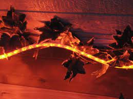 We did not find results for: 10ft Rope Lights Orange Deep Amber Led Rope Light Kit 1 0 Led Spacing Christmas Lighting Outdoor Rope Lighting Buy Online In United Arab Emirates At Desertcart Ae Productid 1811968