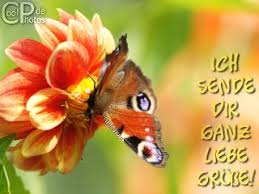 Bestell tess liebe grüße von mir. Coolphotos De Grusskarten Liebe Freundschaft Liebe Grusse