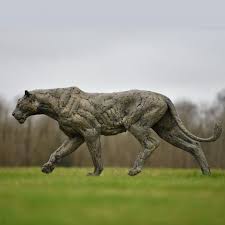 Litters consist of two or three cubs that weigh about 3 pounds each. Life Size Sculpture In Bronze Of Lioness By Hamish Mackie