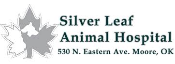 Vet hospital in norman, ok. Animal Hospital In Moore Ok Silver Leaf Animal Hospital