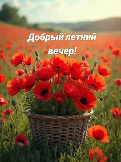 Добрый летний вечер! - выпуск №3216017