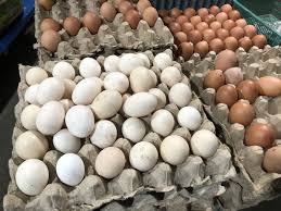 Semur telur adalah olahan berkelas dengan bahan ekonomis. Pin Oleh Kendariinfo Redaksi Di Stock Foto Telur Ayam