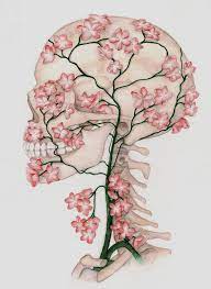 Image Result For Cherry Blossom Skull Tattoo Skull Drawing Art Anatomy Art