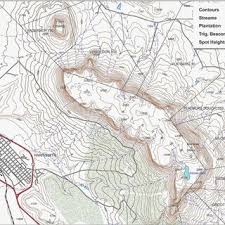 Image result for Asterochaete angustissima