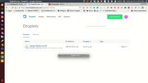 Setup Dns From Godaddy With Digital Ocean Host Idn Domain Setup Digital Ocean Wp Themes Wordpress Template