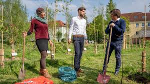 1 bis 25 von 61 adressen zu garten in erfurt mit telefonnummer, öffnungszeiten und bewertung gefunden. Baumschenkung Im Garten Und Friedhofsamt Erfurt De