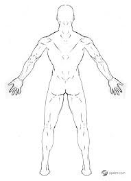 See more ideas about drawing reference, art, anatomy. Male Anatomy Back Reference By Blud Shot On Newgrounds