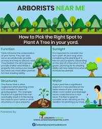 A million members, donors, and partners support our programs to make our world greener and healthier. How To Pick The Right Spot To Plant A Tree 6 Deciding Factors