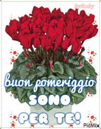 Seguimi anche sul mio secondo canale,tanti altri video per dare il buongiorno e la buonanotte,clicca qui : Buon Pomeriggio A Te Pagina 3 Buon Pomeriggio Buongiorno Immagini Immagini