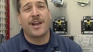 Swarm of Bees Attack Us