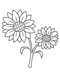 This sunflower colouring page is aimed at younger children but you can use it in many different ways. Printable Sunflower Coloring Page