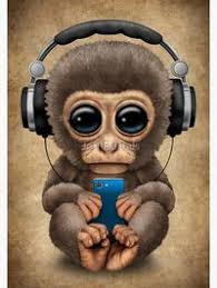 Rodrigo Olvera (olvera0019)