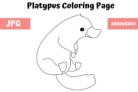Platypus coloring page to color, print or download. Coloring Page For Kids Platypus Graphic By Mybeautifulfiles Creative Fabrica