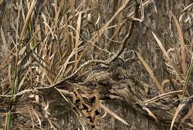 Our Camo Patterns Mossy Oak