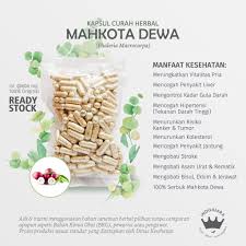 Tumbuhan mahkota dewa adalah tumbuhan yang biasa hidup di daerah beriklim tropis. Mahkota Dewa 200 X600mg Kapsul Curah Herbal Vitalitas Kolesterol Stroke Imunitas Asam Urat Bisul Flu Shopee Indonesia