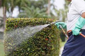Arrow provides pest control, termite inspection, and lawn care services in lakeland, florida. All Out Pest Control Inc Lakeland Florida All About Florida