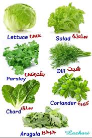 Pin By Safaa Albadry On English Lessons In 2020 Chard Arugula Lettuce
