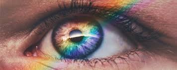 Damit die linse feucht bleibt, wird diese. Die Augenfarben Lensbest