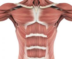 Dr Adrian Mancini chirurgien viscéral