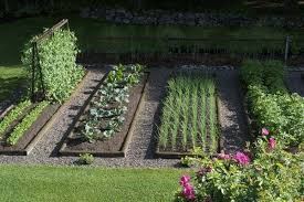 Don't get discouraged by your small yard! Pin On Garden